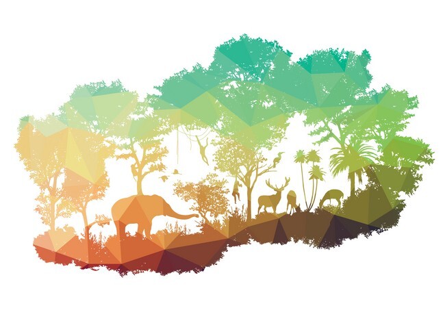 Patterned African Wildlife Design